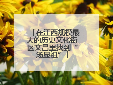 在江西规模最大的历史文化街区文昌里找到“汤显祖”