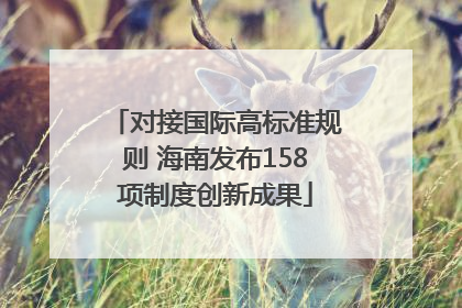 对接国际高标准规则 海南发布158项制度创新成果