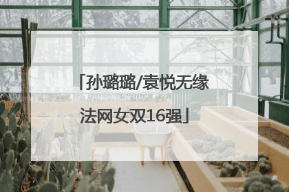 孙璐璐/袁悦无缘法网女双16强
