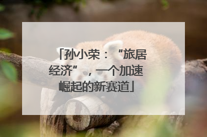 孙小荣：“旅居经济”，一个加速崛起的新赛道