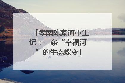 孝南陈家河重生记：一条“幸福河”的生态蝶变