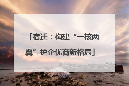 宿迁：构建“一核两翼”护企优商新格局