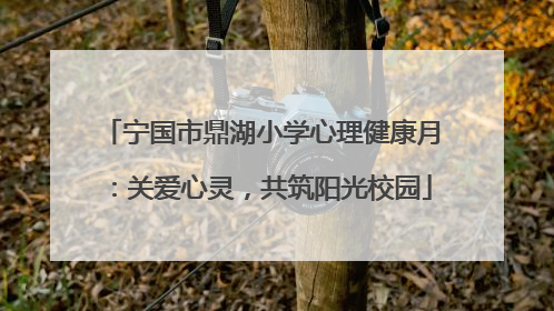 宁国市鼎湖小学心理健康月：关爱心灵，共筑阳光校园