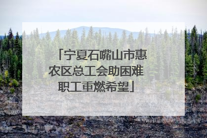 宁夏石嘴山市惠农区总工会助困难职工重燃希望
