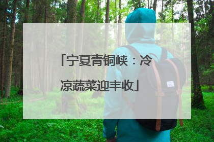 宁夏青铜峡：冷凉蔬菜迎丰收