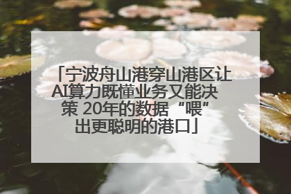 宁波舟山港穿山港区让AI算力既懂业务又能决策 20年的数据“喂”出更聪明的港口