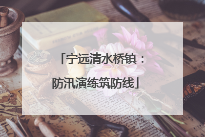 宁远清水桥镇：防汛演练筑防线