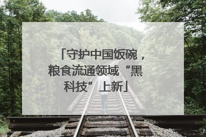 守护中国饭碗，粮食流通领域“黑科技”上新