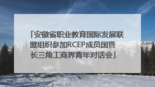 安徽省职业教育国际发展联盟组织参加RCEP成员国暨长三角工商界青年对话会