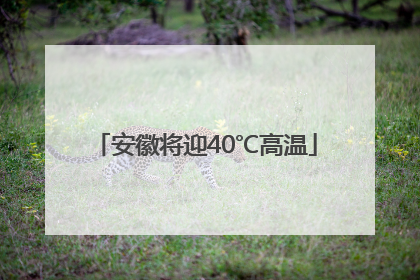安徽将迎40℃高温