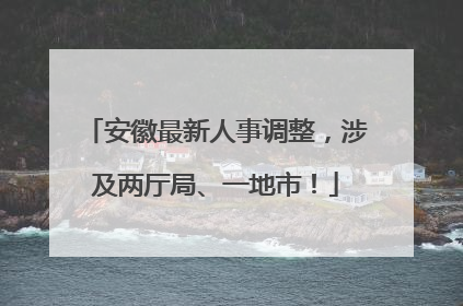安徽最新人事调整，涉及两厅局、一地市！