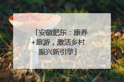 安徽肥东：康养+旅游，激活乡村振兴新引擎