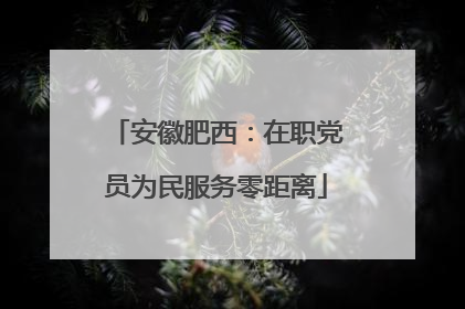 安徽肥西：在职党员为民服务零距离
