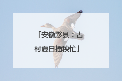 安徽黟县：古村夏日插秧忙