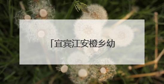 宜宾江安橙乡幼儿园开展“体验盲人生活，感受爱与尊重”教育活动