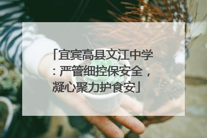 宜宾高县文江中学：严管细控保安全，凝心聚力护食安