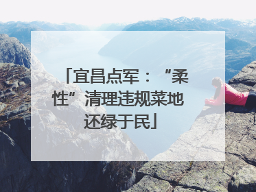 宜昌点军：“柔性”清理违规菜地 还绿于民