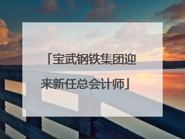 宝武钢铁集团迎来新任总会计师