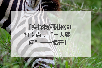 实探杨泗港网红打卡点：“三大疑问”一一揭开