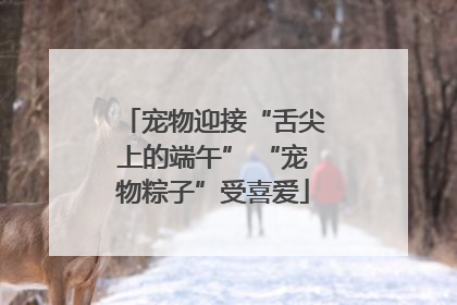宠物迎接“舌尖上的端午” “宠物粽子”受喜爱