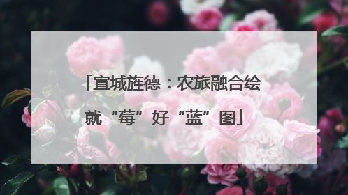宣城旌德：农旅融合绘就“莓”好“蓝”图