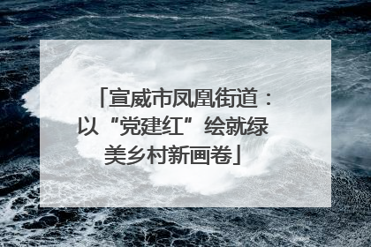 宣威市凤凰街道：以“党建红”绘就绿美乡村新画卷