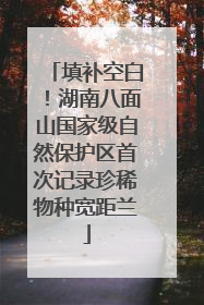 填补空白！湖南八面山国家级自然保护区首次记录珍稀物种宽距兰