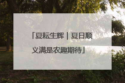 夏耘生辉｜夏日顺义满是农趣期待