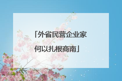 外省民营企业家何以扎根商南
