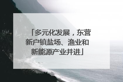 多元化发展，东营新户镇盐场、渔业和新能源产业并进