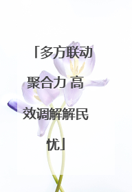 多方联动聚合力 高效调解解民忧