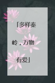 多样秦岭，万物有爱