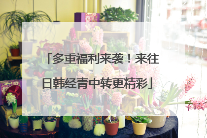 多重福利来袭！来往日韩经青中转更精彩