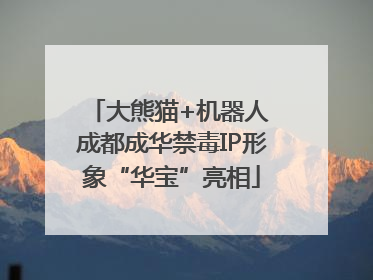 大熊猫+机器人 成都成华禁毒IP形象“华宝”亮相