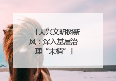 大兴文明树新风：深入基层治理“末梢”