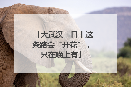 大武汉一日丨这条路会“开花”，只在晚上有