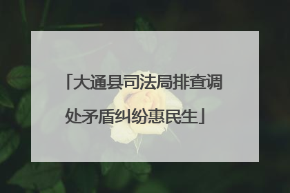 大通县司法局排查调处矛盾纠纷惠民生