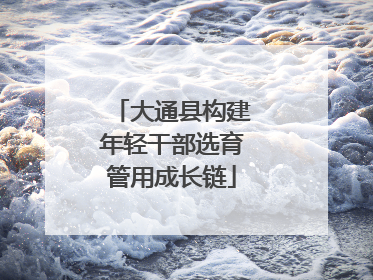 大通县构建年轻干部选育管用成长链