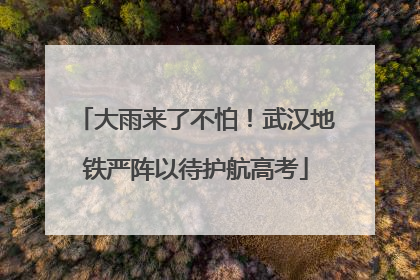 大雨来了不怕！武汉地铁严阵以待护航高考