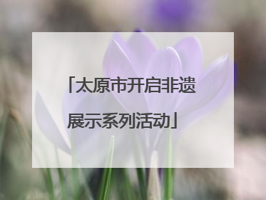 太原市开启非遗展示系列活动