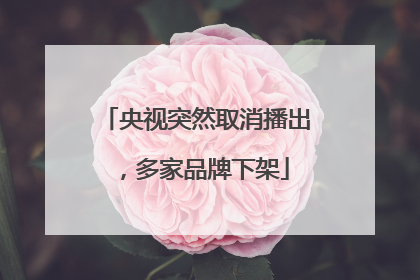 央视突然取消播出，多家品牌下架