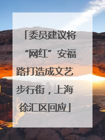 委员建议将“网红”安福路打造成文艺步行街，上海徐汇区回应