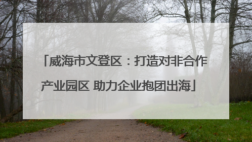 威海市文登区：打造对非合作产业园区 助力企业抱团出海
