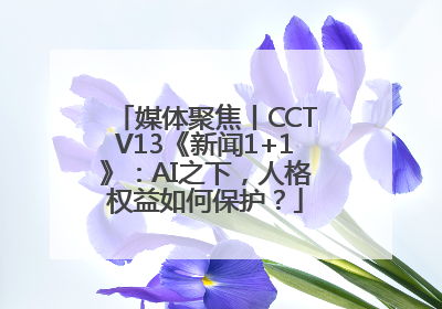 媒体聚焦丨CCTV13《新闻1+1》：AI之下，人格权益如何保护？