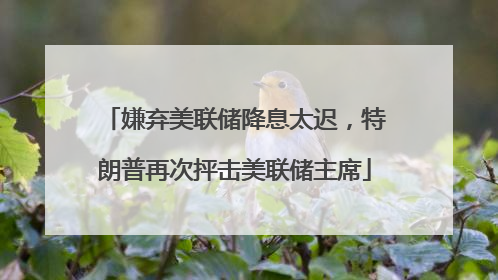 嫌弃美联储降息太迟，特朗普再次抨击美联储主席