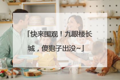快来围观！九眼楼长城，傻狍子出没~