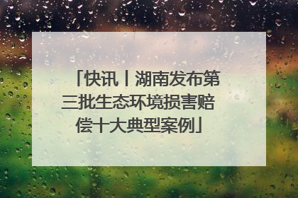 快讯丨湖南发布第三批生态环境损害赔偿十大典型案例
