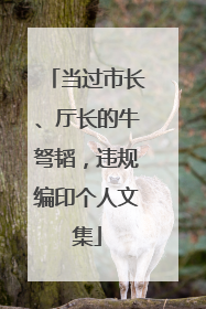 当过市长、厅长的牛弩韬，违规编印个人文集