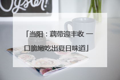 当阳：藕带迎丰收 一口脆嫩吃出夏日味道