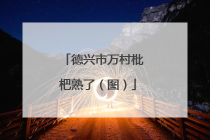 德兴市万村枇杷熟了（图）
